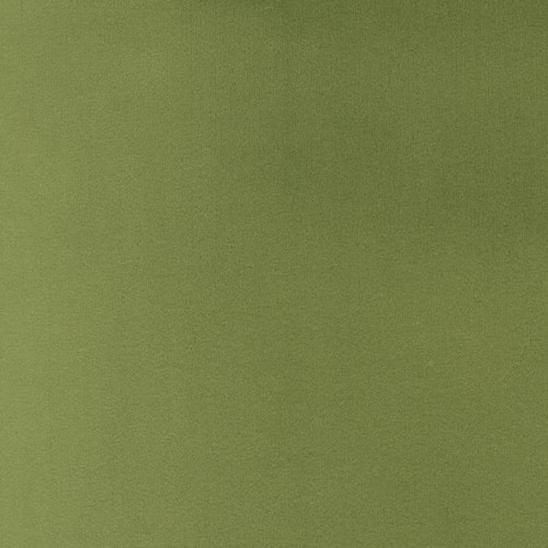 Moda Fabrics Shannon Fabrics Quilting Cuddle Solid Leaf Green