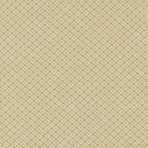 Moda Fabrics Bluebirds Nest Kansas Troubles Quilters Tan Blue Check It