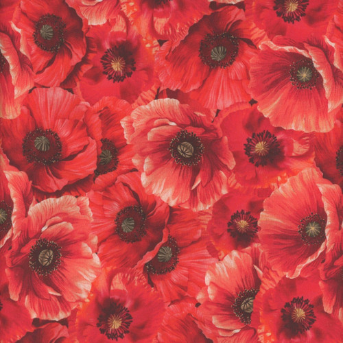 Timeless Treasures Fabrics Poppy Passion by Chong A Hwang Packed Poppies Poppy