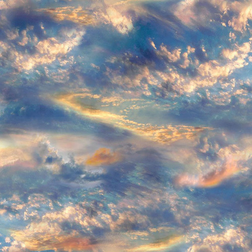 Timeless Treasures Fabrics Water's Edge Ocean Beach Sky Sunset