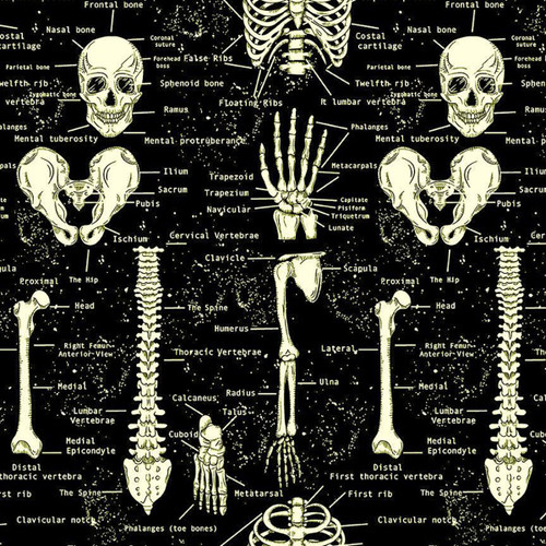 Timeless Treasures Fabrics Halloween Spooky Jet Black Skeletons