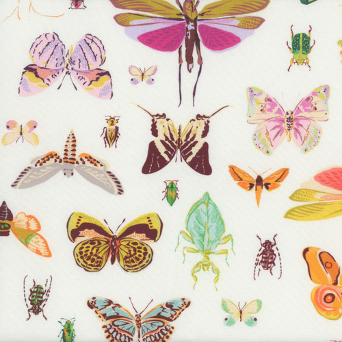 Windham Fabrics Tamara Kate Insectarium Light On Display