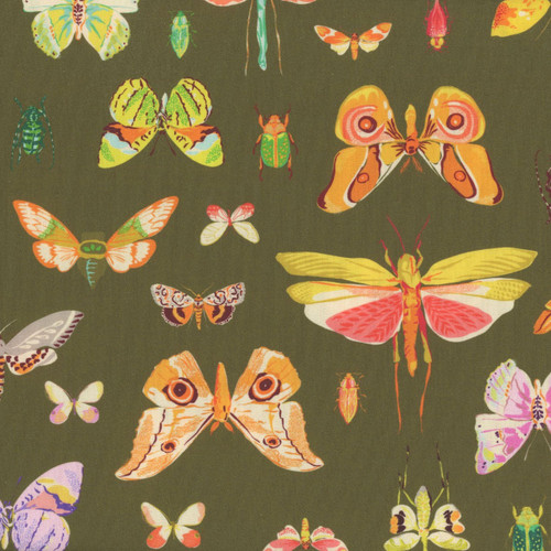 Windham Fabrics Tamara Kate Insectarium Olive On Display