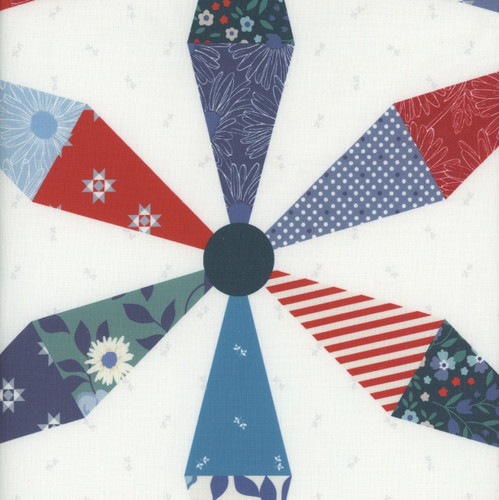 Windham Fabrics Front Porch Allison Harris Spinning Daisies Wholecloth Multi