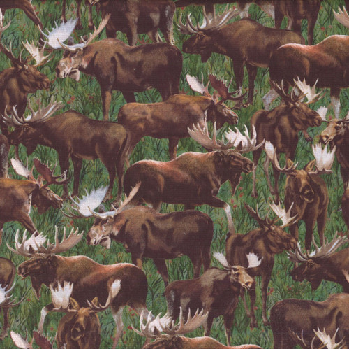 Windham Fabrics Wild Kingdom Whistler Studios Majestic Moose Field