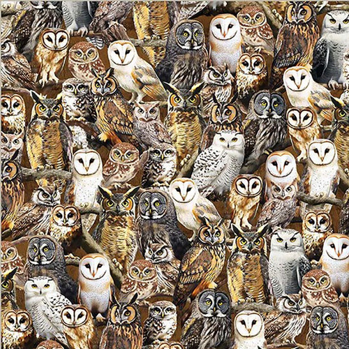 Windham Fabrics Wild Kingdom Whistler Studios Observant Owls Multi