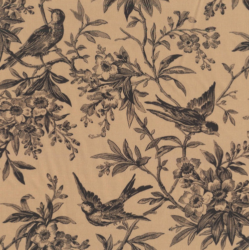 Andover Fabrics Grand Paisley by Jo Morton Halcyon Days 108 Inch Wide Quilt Backing Coffee