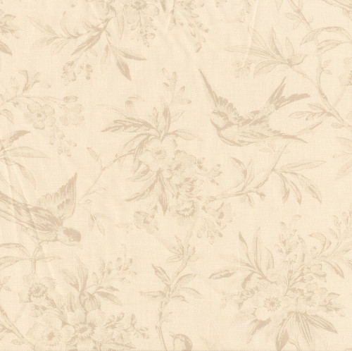 Andover Fabrics Grand Paisley by Jo Morton Halcyon Days 108 Inch Wide Quilt Backing Lace