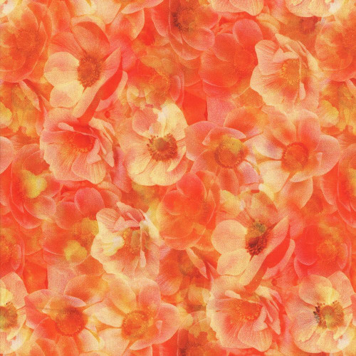 Hoffman Fabrics Flourish Whispy Anemone Floral Poppy Red, vibrant floral fabric with soft pink, peach, and red blossoms and green centers, perfect for quilting and craft projects.