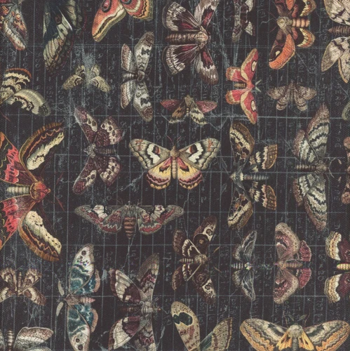 FreeSpirit Fabrics Palette Canvas by Tim Holtz Eclectic Elements Halloween Moth Study Halloween