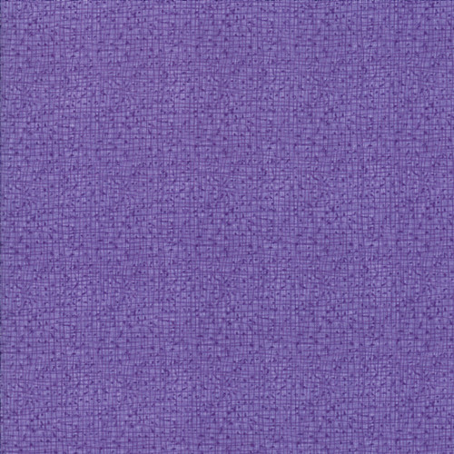 Moda Fabrics Thatched Robin Pickens Aster