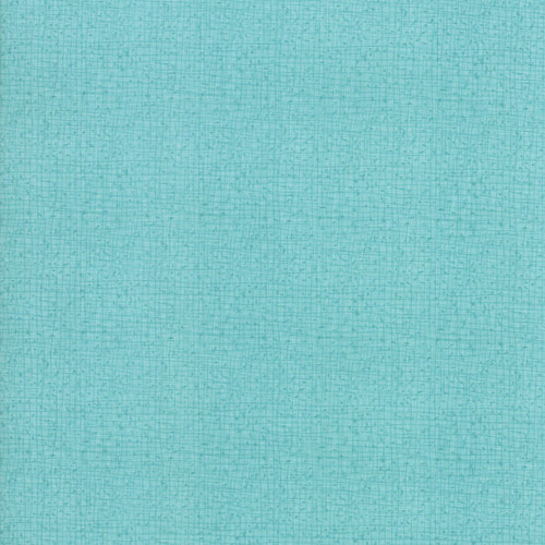 Moda Fabrics Thatched Robin Pickens Seafoam