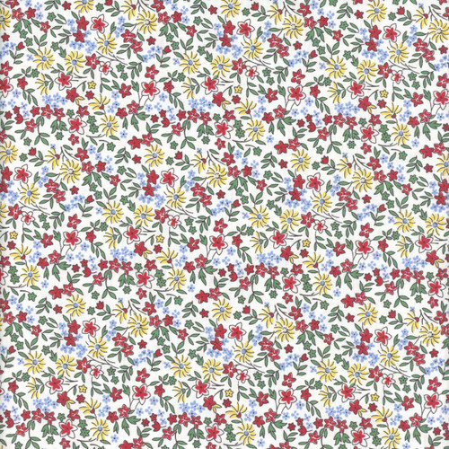 Marcus Fabrics Aunt Grace Goes Bold Judie Rothermel Field Flowers Multi