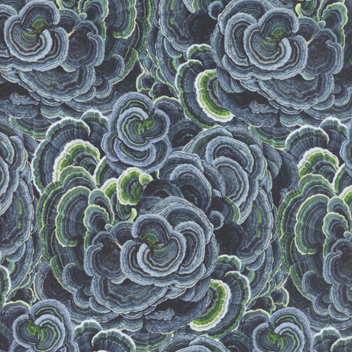 Clothworks Fabrics Nature Study Turkey Tail Denim Blue Green