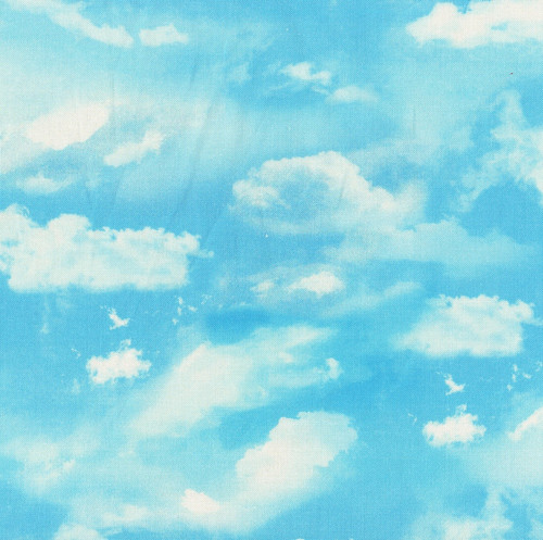 Timeless Treasures Fabrics Meadow Bloom Meadow Cloudy Sky Blue