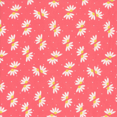 Blank Quilting Fabrics The Bright Side Jessica Dayon Pink Daisies and Dots, a pink fabric featuring white daisies with yellow centers and small white dots.