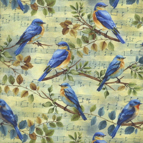 Henry Glass Fabrics Awakenings Jan Mott Pale Blue Bird Song