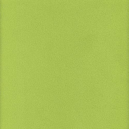 Windham Fabrics Winterfleece Lime Green Solid Velour Polar Fleece