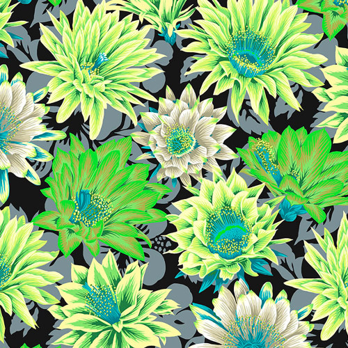 Free Spirit Fabrics Kaffe Fassett Collective February 2021 Philip Jacobs Cactus Flower Contrast