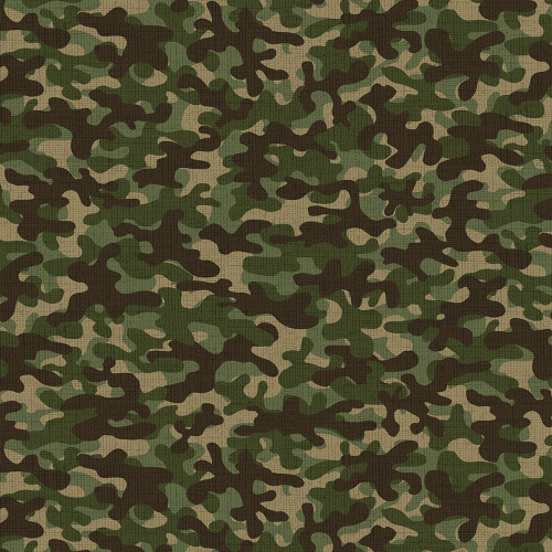 Timeless Treasures Fabrics Camo Multi