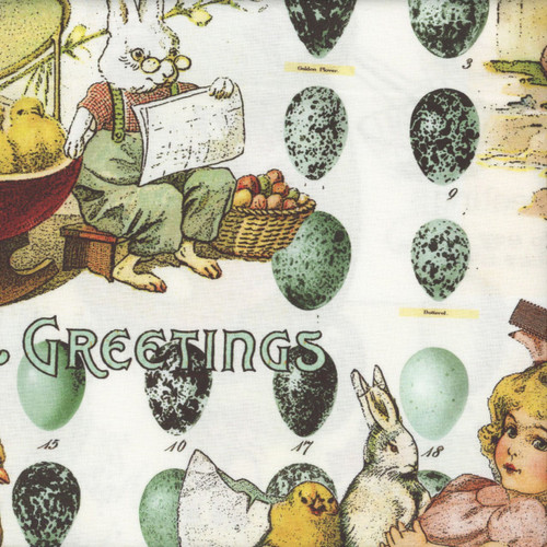 Riley Blake Fabrics Egg Hunt Janet Wecker Frisch Easter Egg Collage Multi Cream Pink