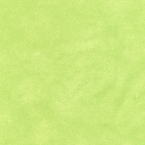 Timeless Treasures Fabrics Surface Texture Spring