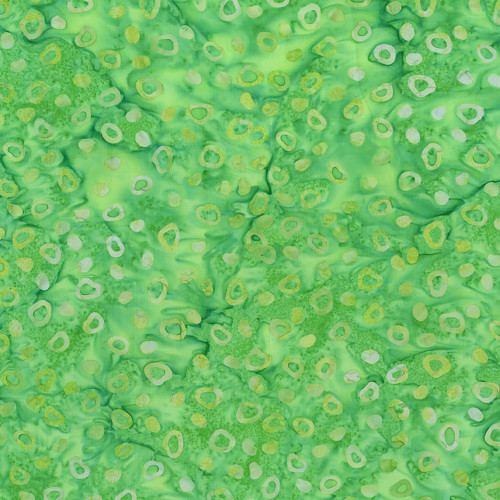 Riley Blake Fabrics Bold in Bloom Fran Morgan Green Apple Fruity Pebbles
