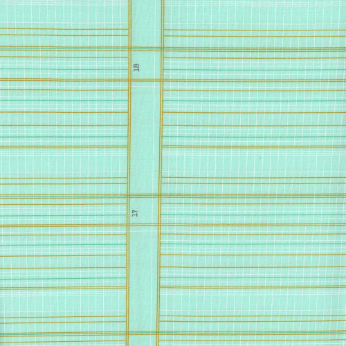 Andover Fabrics Sun Print 2026 Ledger Mint