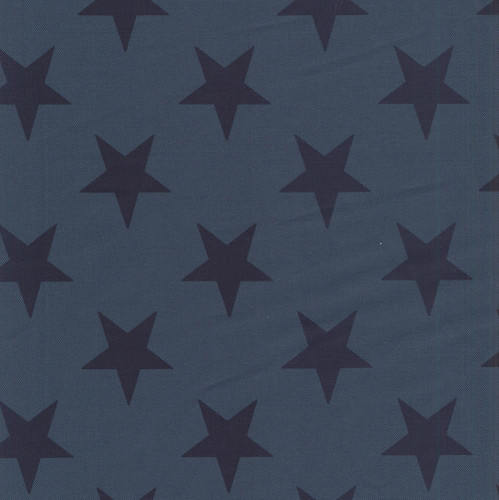 Andover Fabrics Fredericksburg Revisited by Jo Morton Star Spangled 108 inch wide quilt back Faded