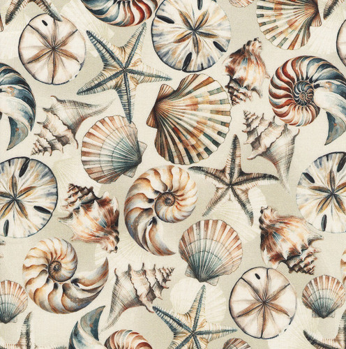 Benartex Fabrics Coastal Escape  Nicole DeCamp Seashell Serenade 108 Inch Wide Quilt Back Cream