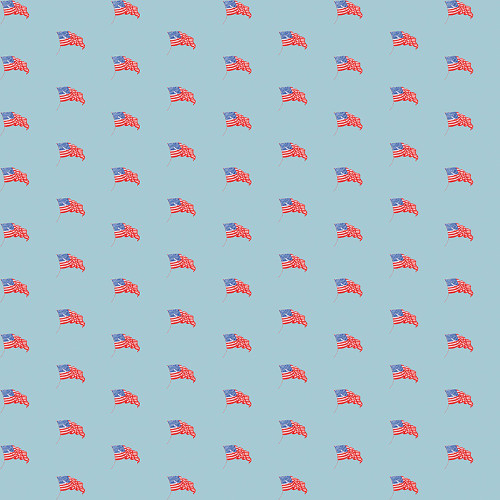 Riley Blake Fabrics Sew America J. Wecker Frisch Sew America USA Flags Blue