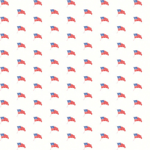 Riley Blake Fabrics Sew America J. Wecker Frisch Sew America USA Flags White
