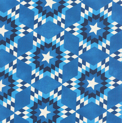 <p>Windham Fabrics American Tribute Whistler Studios Lone Star Wide Quilt Back Windham Blue</p>