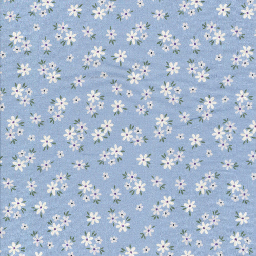 Dear Stella Fabrics To Bee Or Not To Bee My First Pick Celeste