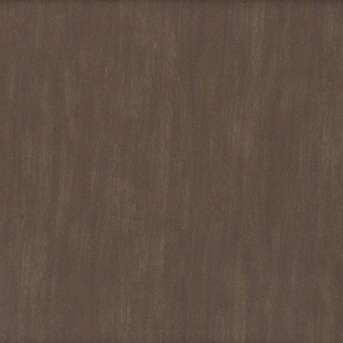 Timeless Treasures Fabrics Welcome Winter Woodgrain Texture Bark