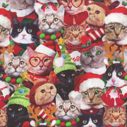 Timeless Treasures Fabrics Christmas Cheer Packed Holiday Cats Holiday