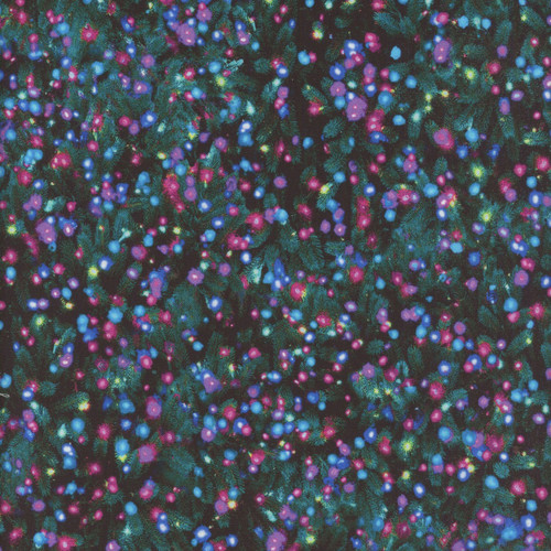Timeless Treasures Fabrics Holiday Lights, Winter Light Aurora Holiday Lights Multi