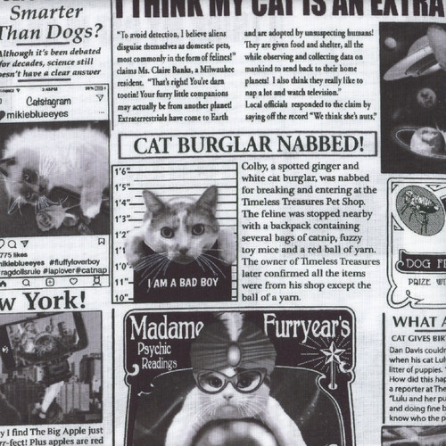 Timeless Treasures Fabrics Meow You Doing? Cat Newspaper Newsprint
