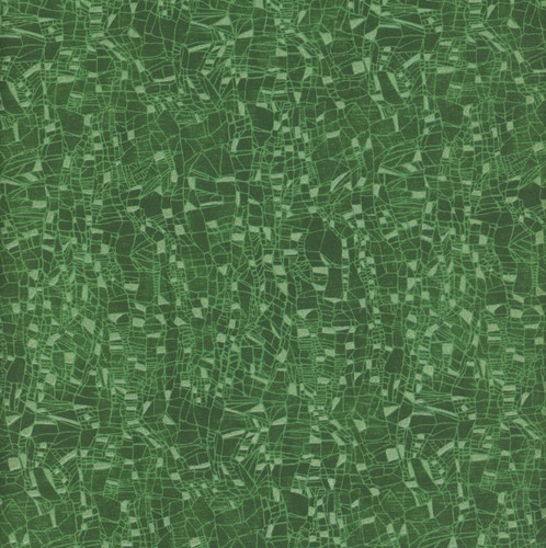 Benartex Fabrics Dragonfly Wonder  Ann Lauer Cirrus Tonal Texture Pine