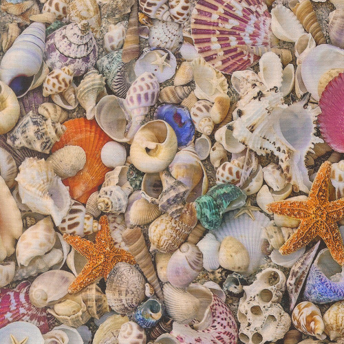 Moda Fabrics Saltwater Cathe Holden Seas The Day Sea Shells Shell