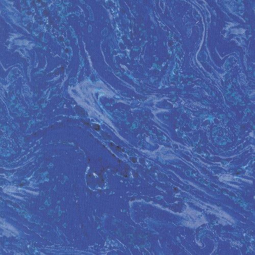Moda Fabrics Saltwater Cathe Holden Seaside Surf Water Ocean Blue