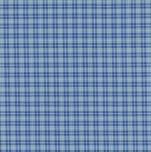 Riley Blake Fabrics Summer's in Town Sandy Gervais Plaid Blue