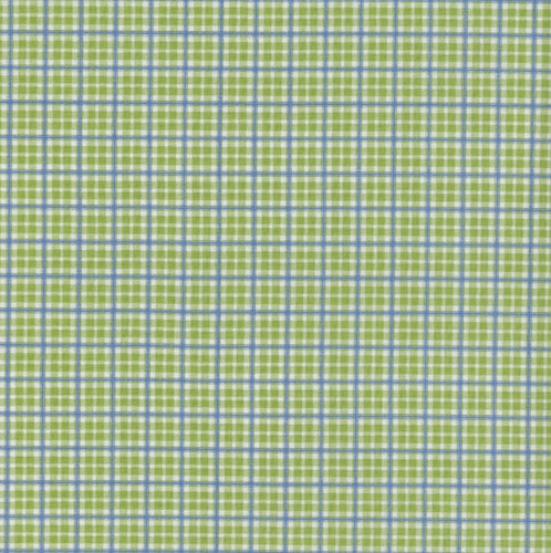 Riley Blake Fabrics Summer's in Town Sandy Gervais Plaid Green
