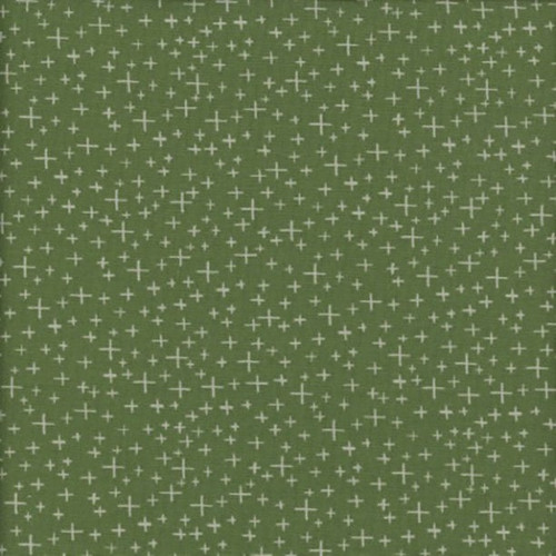 Riley Blake Fabrics Leo and Savannah Deena Rutter Criss Cross Green