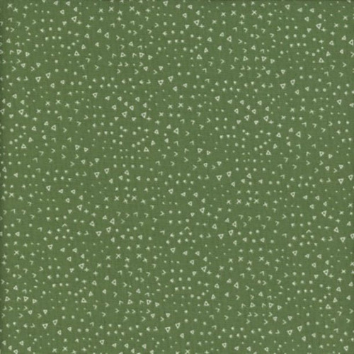 Riley Blake Fabrics Leo and Savannah Deena Rutter Terrain Green