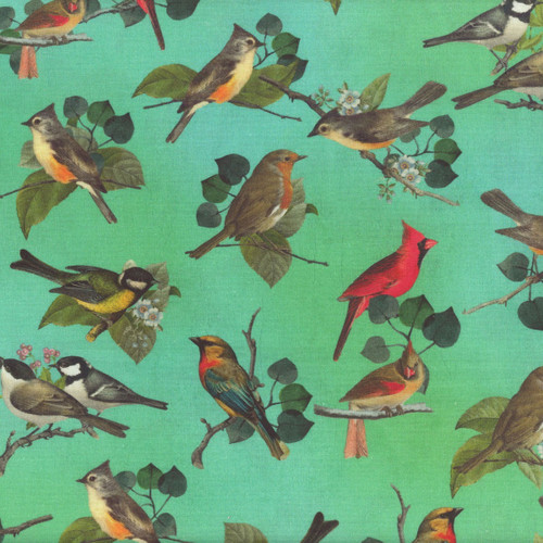 Blank Quilting Fabrics Birds and Blooms Jade Green Birds on Branches