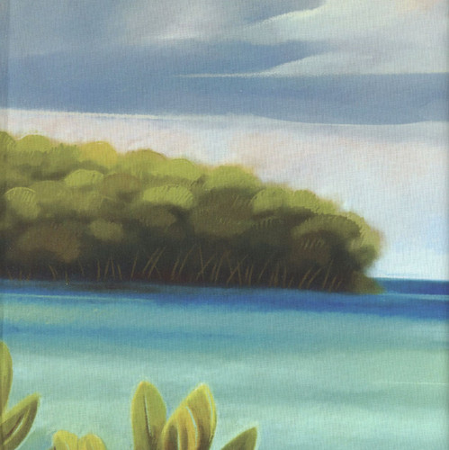 Riley Blake Fabrics United States National Parks Biscayne Poster Panel 36 by 44