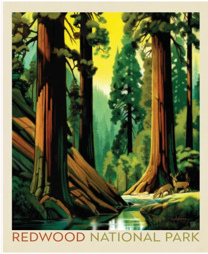 Riley Blake Fabrics United States National Parks Redwood Poster Panel 36 by 44
