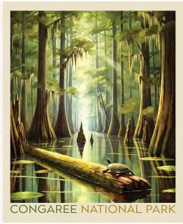 Riley Blake Fabrics United States National Parks Conagree Poster Panel 36 by 44, scenic nature scene with trees, water, and wildlife in a national park setting.