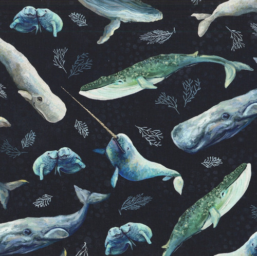 Studio E Fabrics A Drop in the Ocean Cathy Walters Midnight Sealife Toss